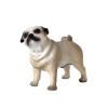 Bulldog Köpek 
