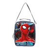 Spiderman Beslenme Çantası 5261