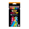 Bic Color Up 12’li Kuru Boya Kalemi