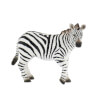 Vahşi Zebra