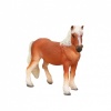 Haflinger At 
