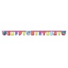 Frozen Happy Birthday Afiş