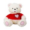 Tişörtlü Oturan Peluş Ayı 66 cm.