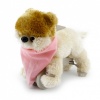 My Puppy Boo Sammy