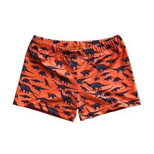 Slipstop Erkek Çocuk Diplodocus Boxer Mayo
