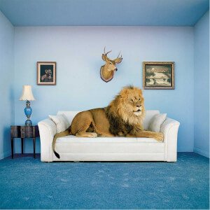 250 Parça Puzzle + Çerçeve : Master of The House