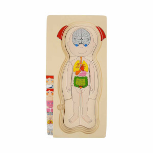 Woody Oyna Öğren Katmanlı İnsan Vücudu Ahşap Puzzle 4 x 7 Parça