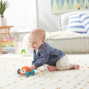 Fisher Price 2'si 1 Arada Sevimli Hayvancıklar GTJ61