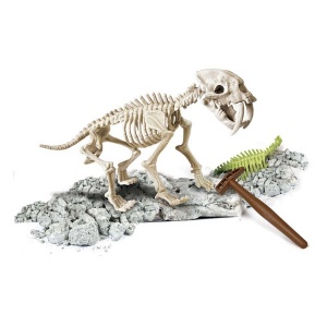 Arkeolog Oluyorum - Smilodon