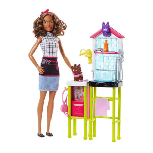 Barbie Ben Büyüyünce Meslek Setleri 