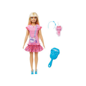 My First Barbie Serisi Bebekleri HLL18