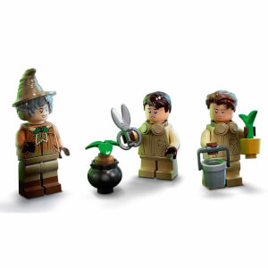 LEGO Harry Potter Hogwarts Anısı: Bitkibilim Dersi 76384