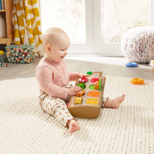 Fisher Price Sürprizli Arkadaşlar GJW24