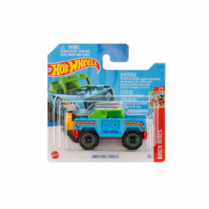 Hot Wheels Tekli Arabalar 