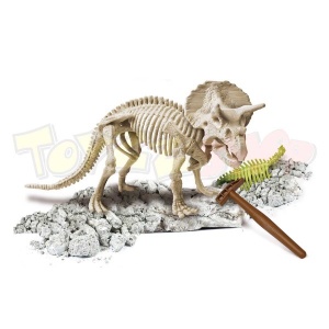 Arkeolog Oluyorum - Triceratops