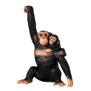 Yavrulu Şempanze 
