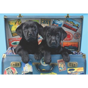 500 Parça Puzzle : Gezgin Köpekler