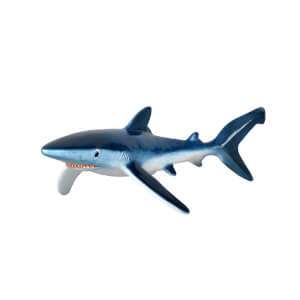 Mavi Köpekbalığı 