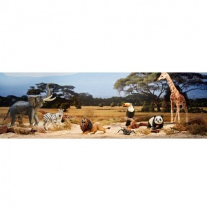 Aslan