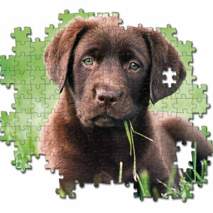 500 Parça Puzzle: Çikolata Renkli Yavru Köpek