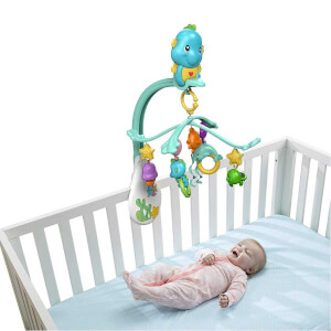 Fisher Price Denizatı 3’ü 1 Arada Dönence