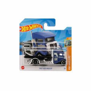 Hot Wheels Tekli Arabalar 
