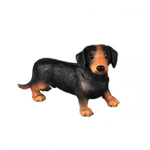 Köpek Apollo 