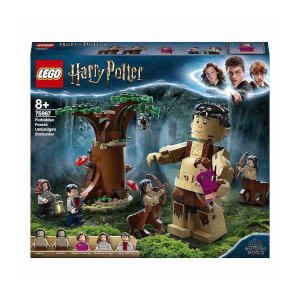 LEGO Harry Potter  Yasak Orman: Grawp ve Umbridge'in Karşılaşması 75967