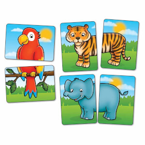 Jungle Heads and Tails Hafıza Oyunu