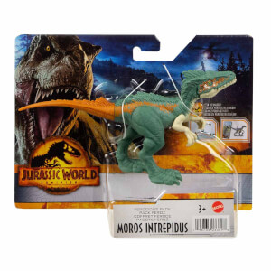Jurassic World Vahşi Paket Çeşitleri HDX18