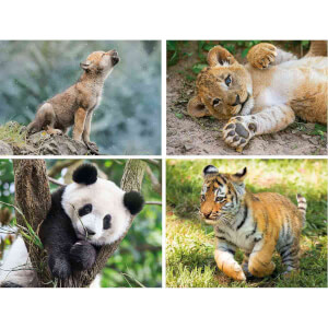 20 + 60 + 100 + 180 Parça Puzzle : Wildlife