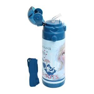 Frozen 2 Çelik Matara 500 ml. 44034