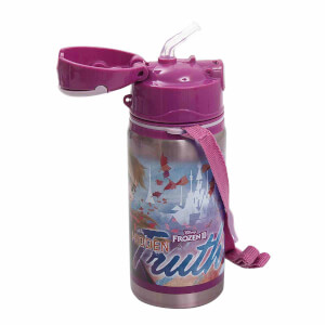 Frozen Salto Hidden Truth Çelik Matara 500 ml 42072