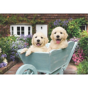 260 Parça Puzzle : Bahçıvan Köpekler