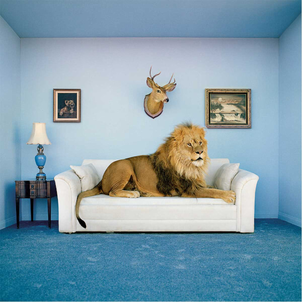 250 Parça Puzzle + Çerçeve : Master of The House