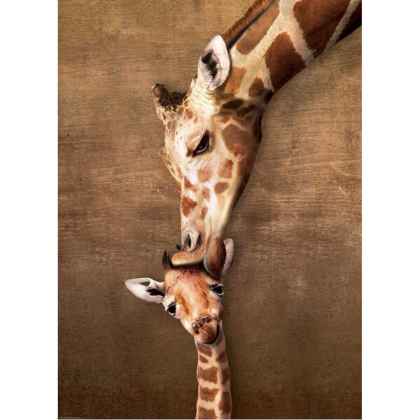 1000 Parça Puzzle : Giraffe Mother's Kiss 