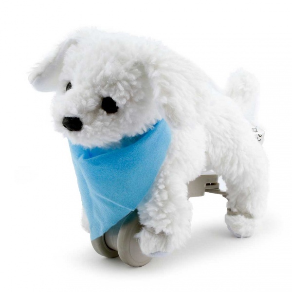 My Puppy Bıchon Charlie