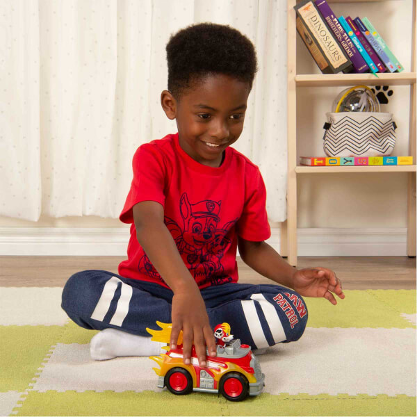 Paw Patrol Temalı Araçlar