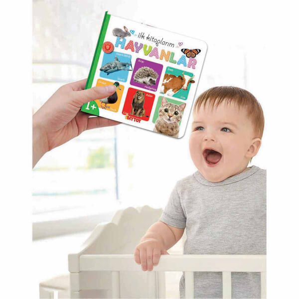 İlk Kitaplarım 6'lı Kitap Seti