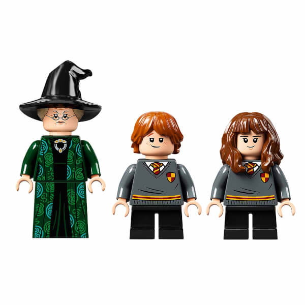 LEGO Harry Potter Hogwarts Anısı: Biçim Değiştirme Dersi 76382