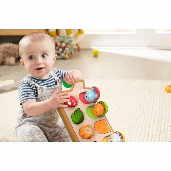 Fisher Price Sürprizli Arkadaşlar GJW24