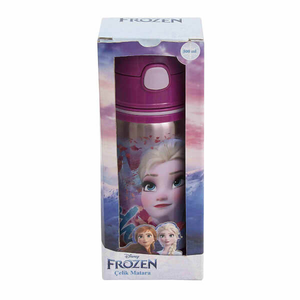 Frozen Salto Hidden Truth Çelik Matara 500 ml 42072