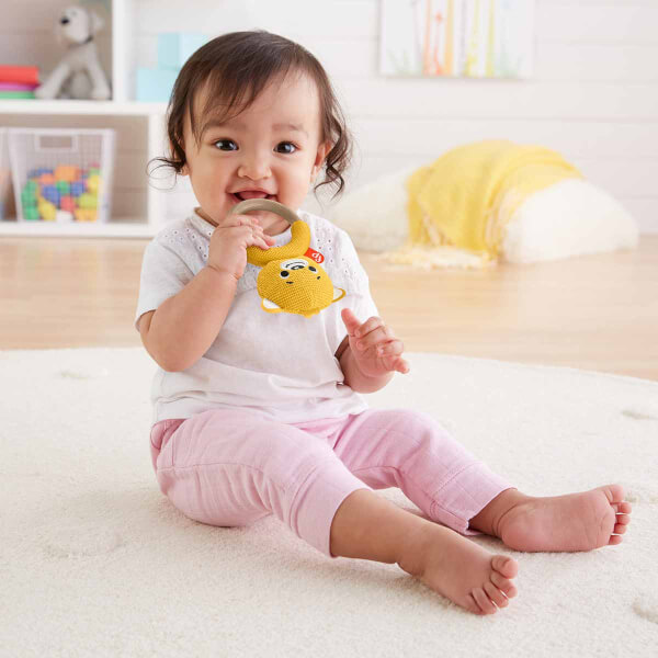 Fisher Price Çıngıraklı Örgü Dişlik Seti GRR03