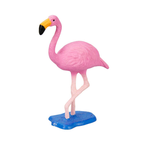 Flamingo Kuş 