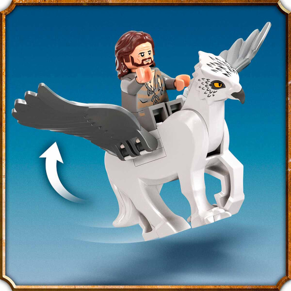 Hogwarts Avlusu: Sirius'un Kurtuluşu 76401