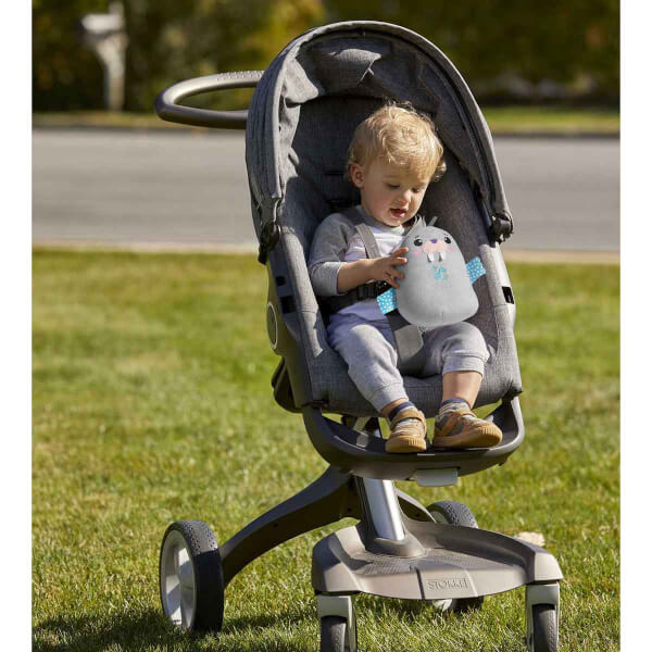 Fisher Price Sevimli Mors Uyku Arkadaşım GRT91