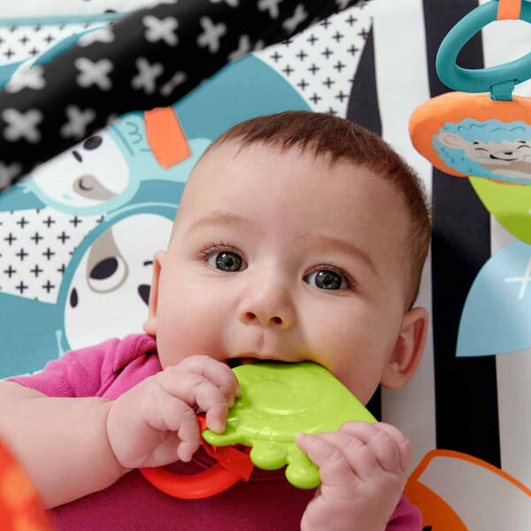 Fisher Price Neşeli Hayvanlar 3'ü 1 Arada Jimnastik Merkezi HBP41