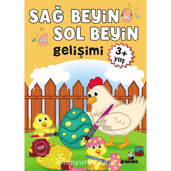 Sağ Beyin ve  Sol Beyin Gelişimi 3 Yaş