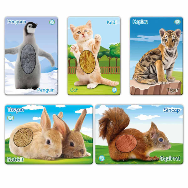 Circle Toys Dokun Hisset Tanı Yavru Hayvanlar Eğitim Kartları