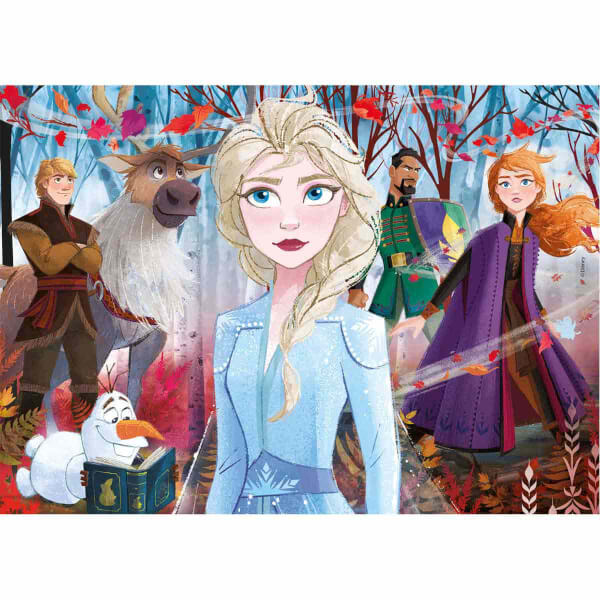 2x20 + 2x60 Parça Puzzle : Frozen 2